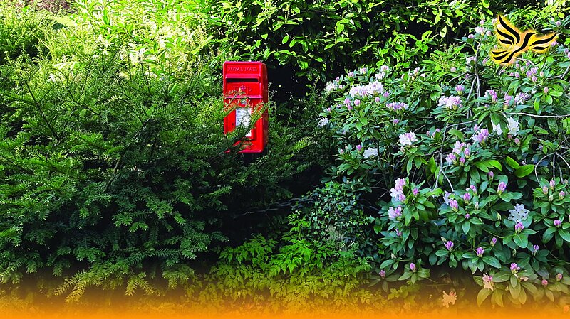 Post Box Chilworthy Farm